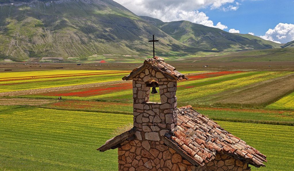 periodo fioritura castelluccio