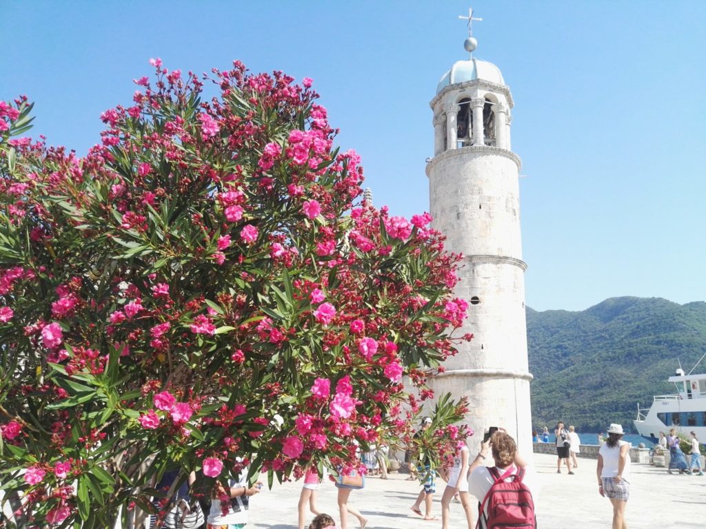 cattaro kotor