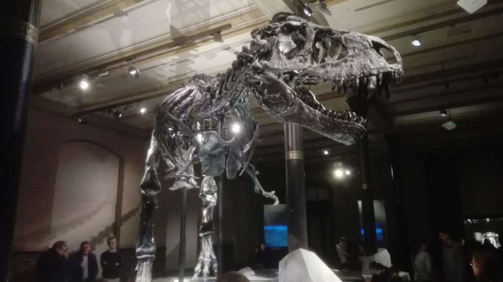 tristan-trex-museo