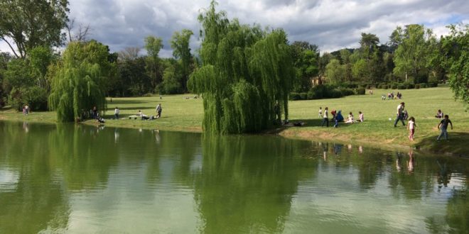 caccia al tesoro botanico