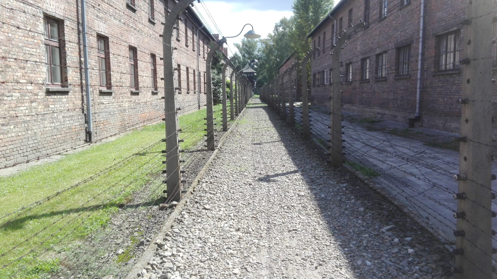 auschwitz birkenau