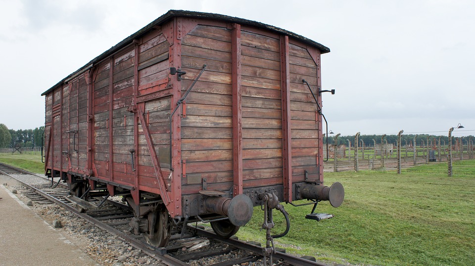 viaggio ad auschwitz