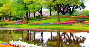 dove vedere i tulipani in Olanda