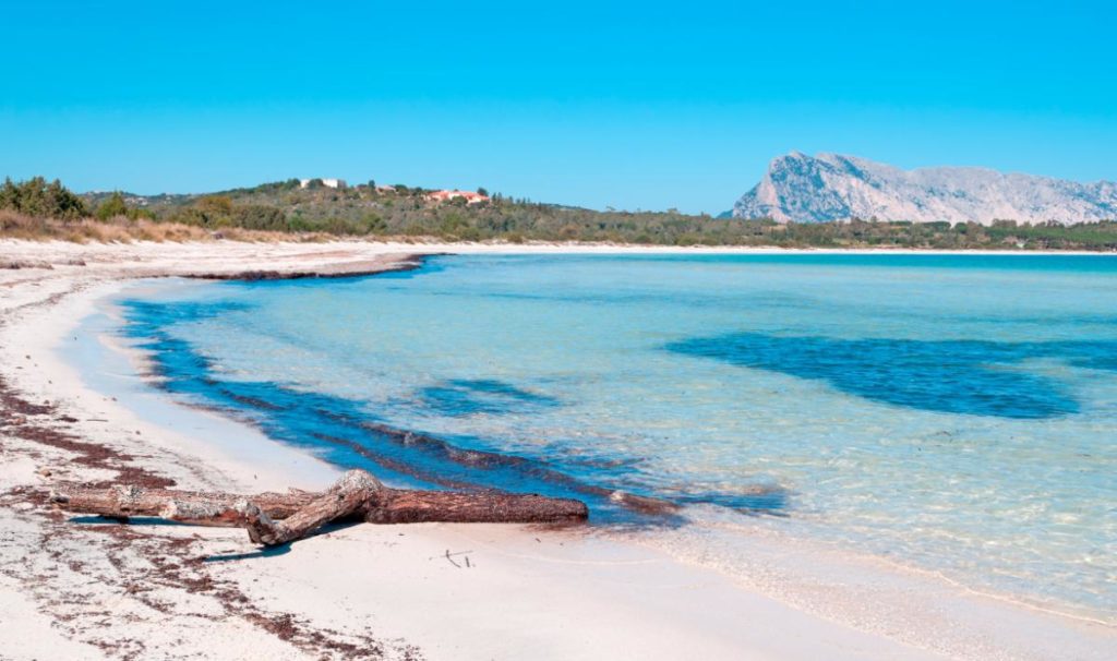 spiagge sardegna