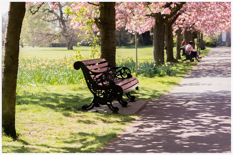 Greenwich Park Londra