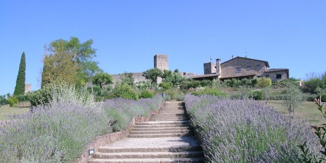 monteriggioni siena