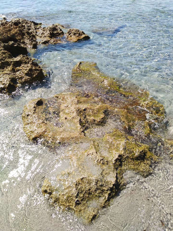 cala ginepro spiaggia
