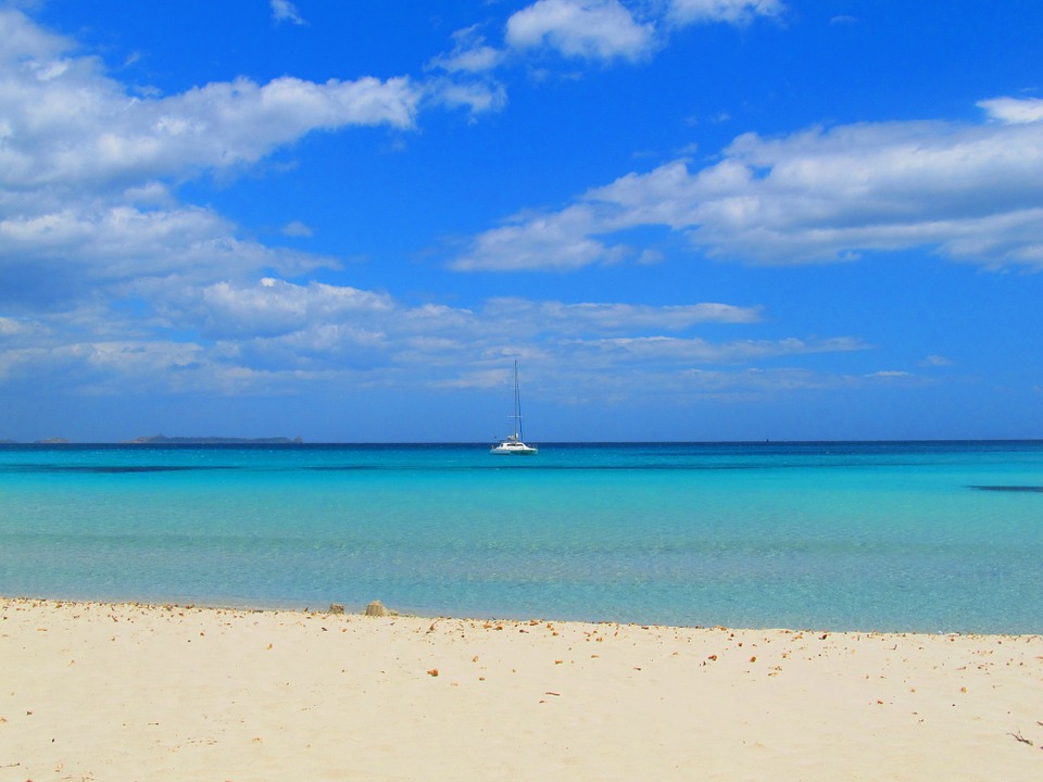 sardegna con il cane