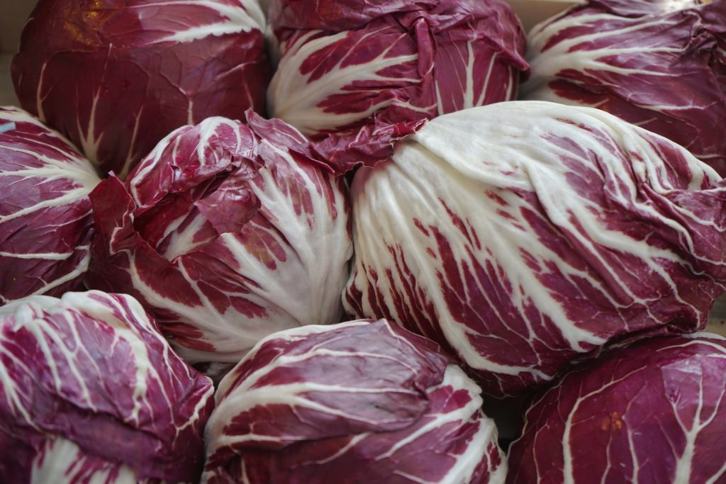 radicchio varietà