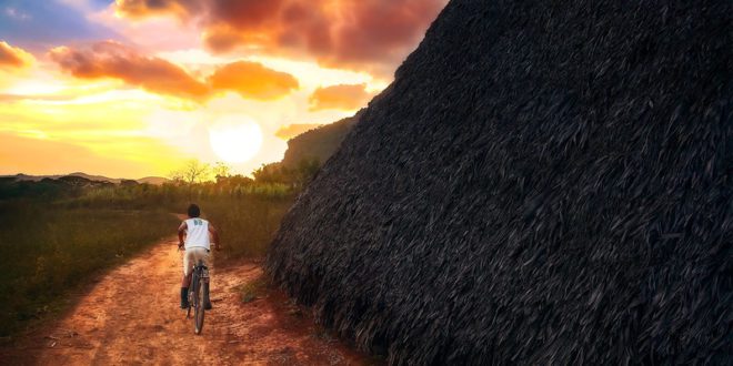 Vinales Cuba